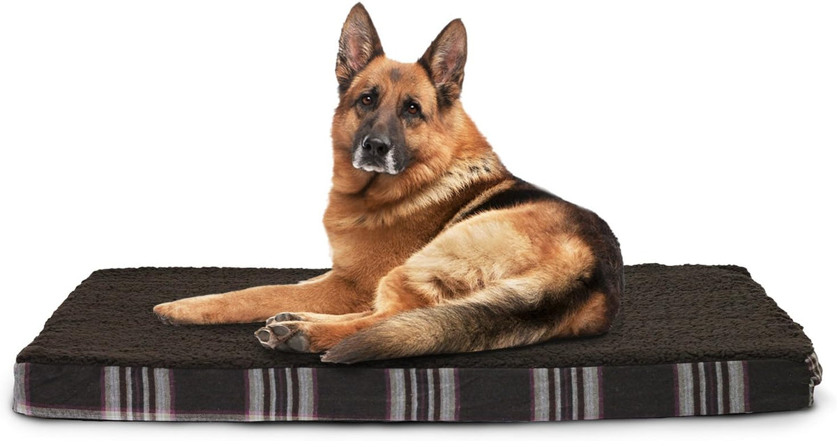Jumbo Orthopedic Foam Pet Bed with Removable Cover Q168