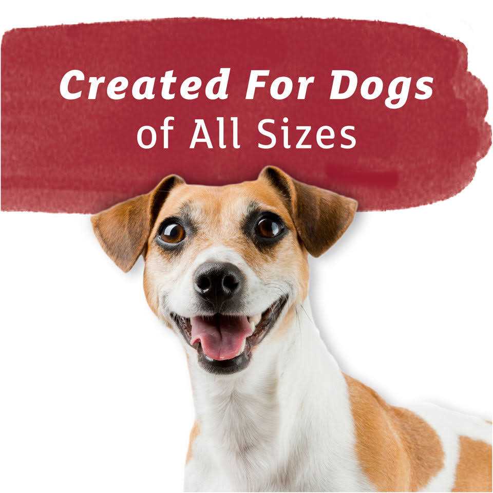 Baked Dog Treats B5260