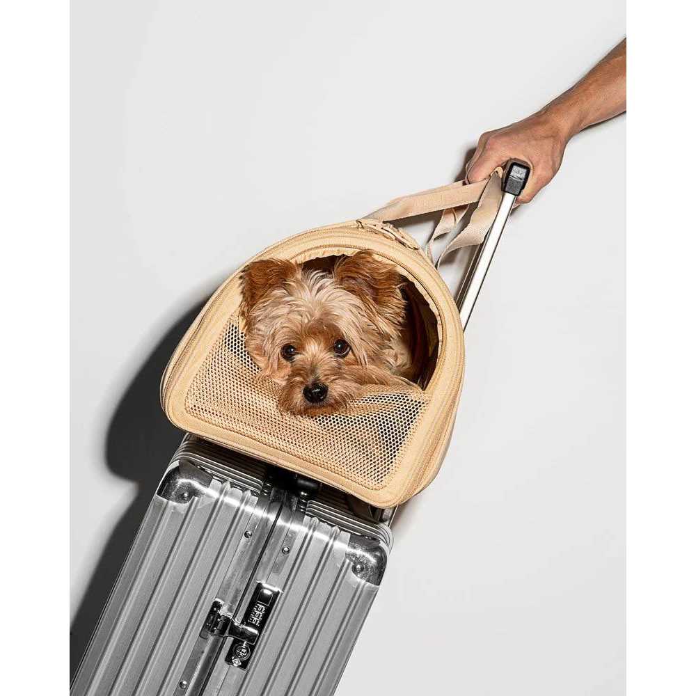 Pet Travel Carrier R16308
