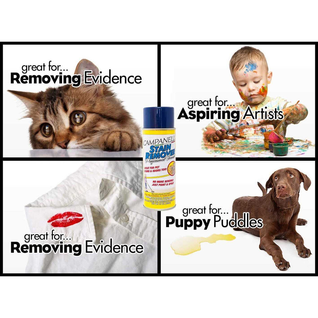 Stain Remover Pet Stain and Odor Eliminator F5067