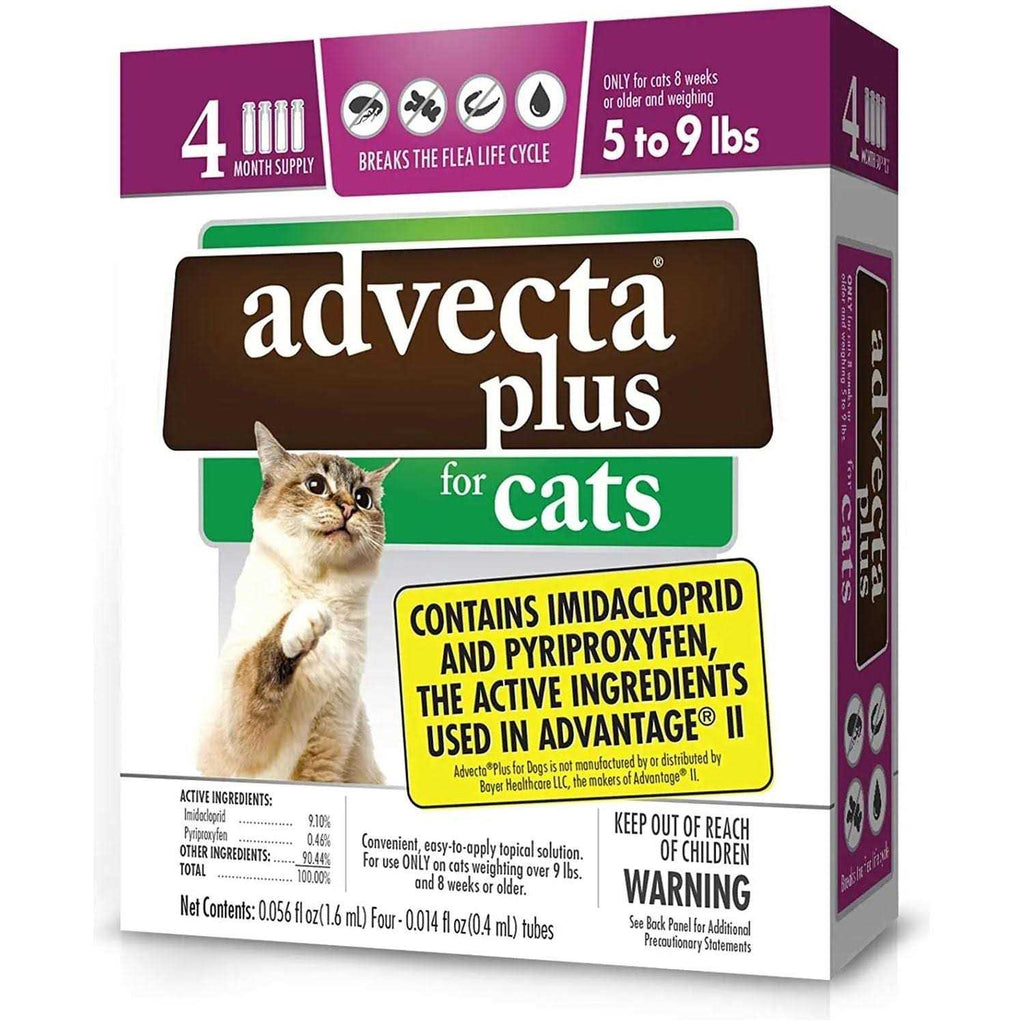 Flea Protection for Small Cats C937