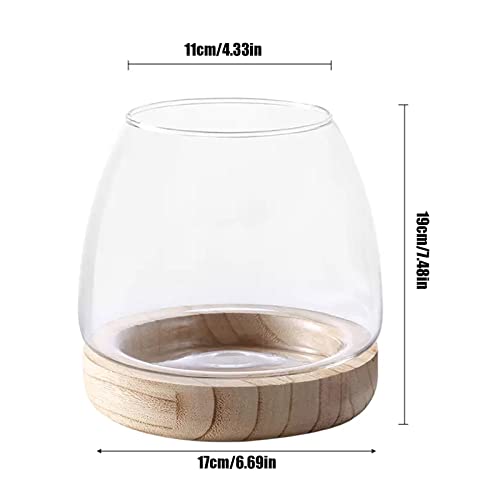 Glass Vase with Wooden Support Base, Clear Glass Bubble Vase, 1pcs (B 23 × 22 × 20 cm) N10338