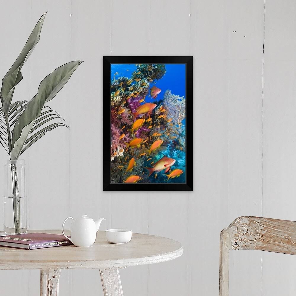 Black Framed Print Z77029