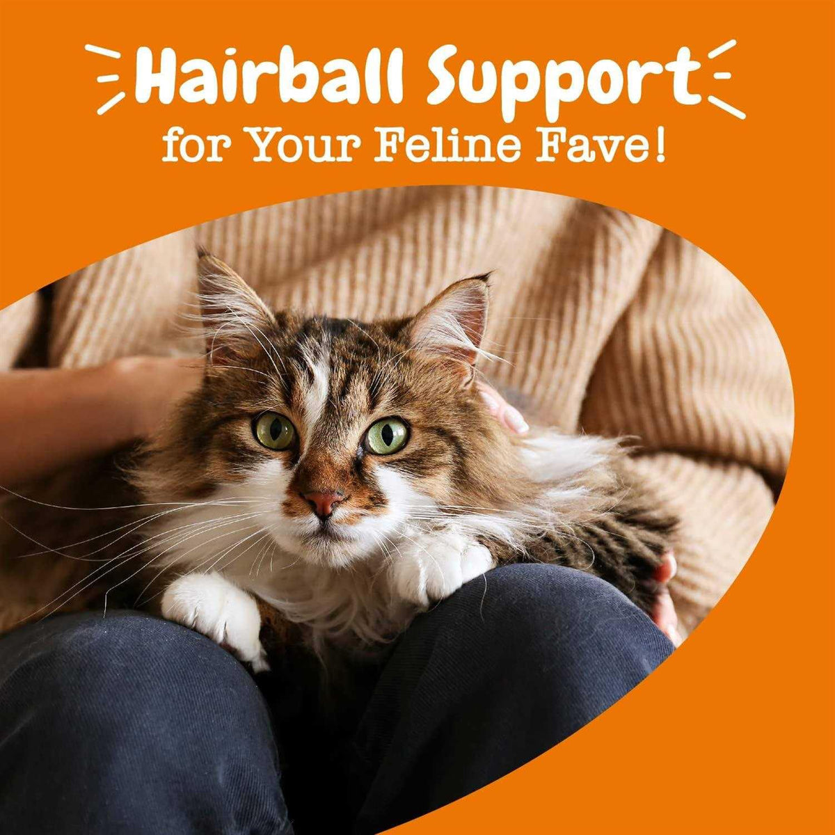 Hairball Bites for Cats L96624