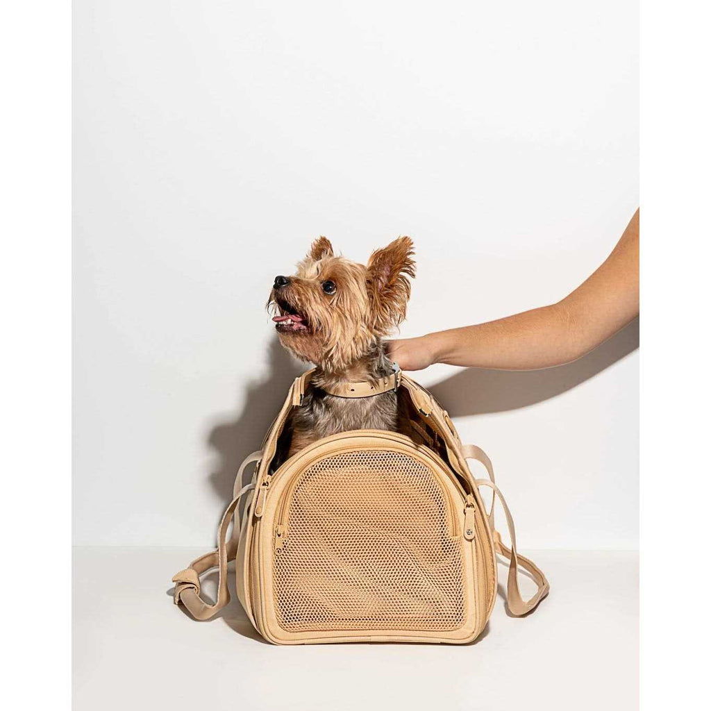 Pet Travel Carrier R16308