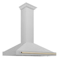 48 Inch Stainless Steel Range Hood with Gold Handle T136392
