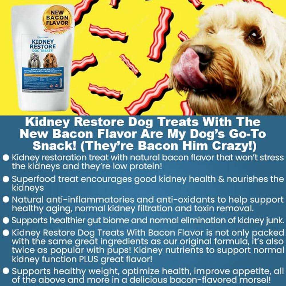 Low Protein Dog Treats for Kidney Support J3771