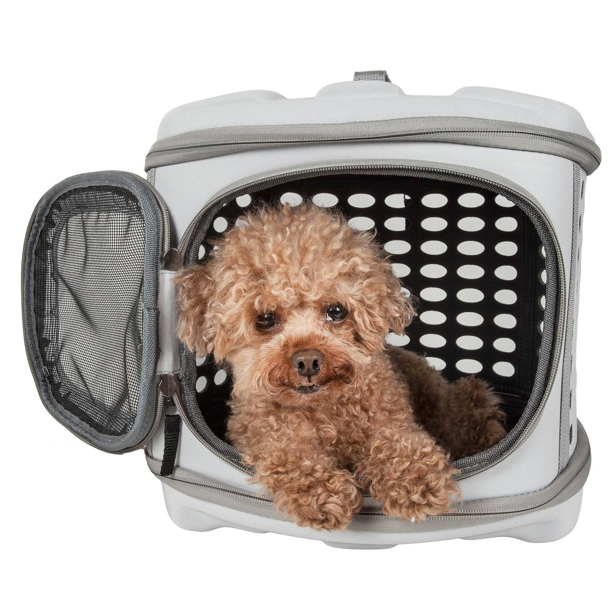 Lightweight Collapsible Pet Carrier W393402