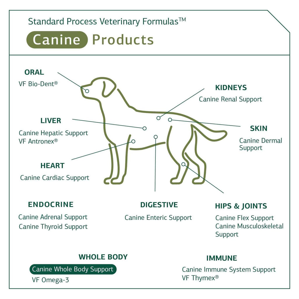 Canine Whole Body Support W60106