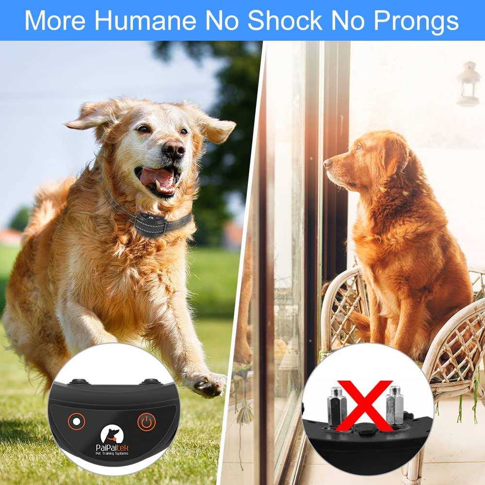 Dog Training Collar with Remote E6422