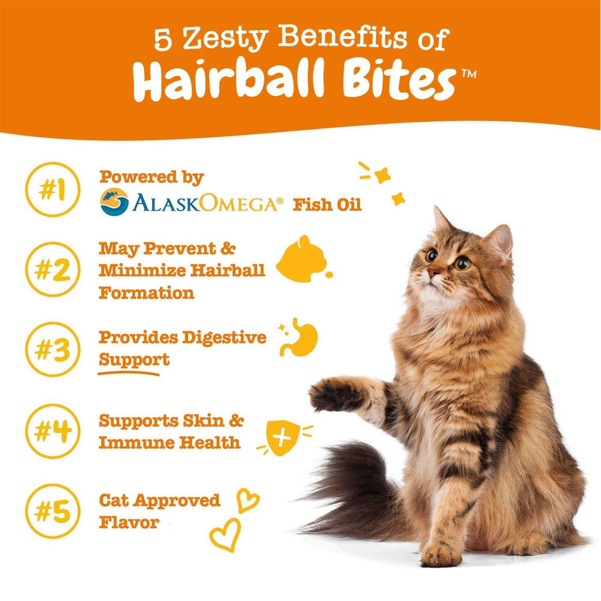 Hairball Bites for Cats L96624
