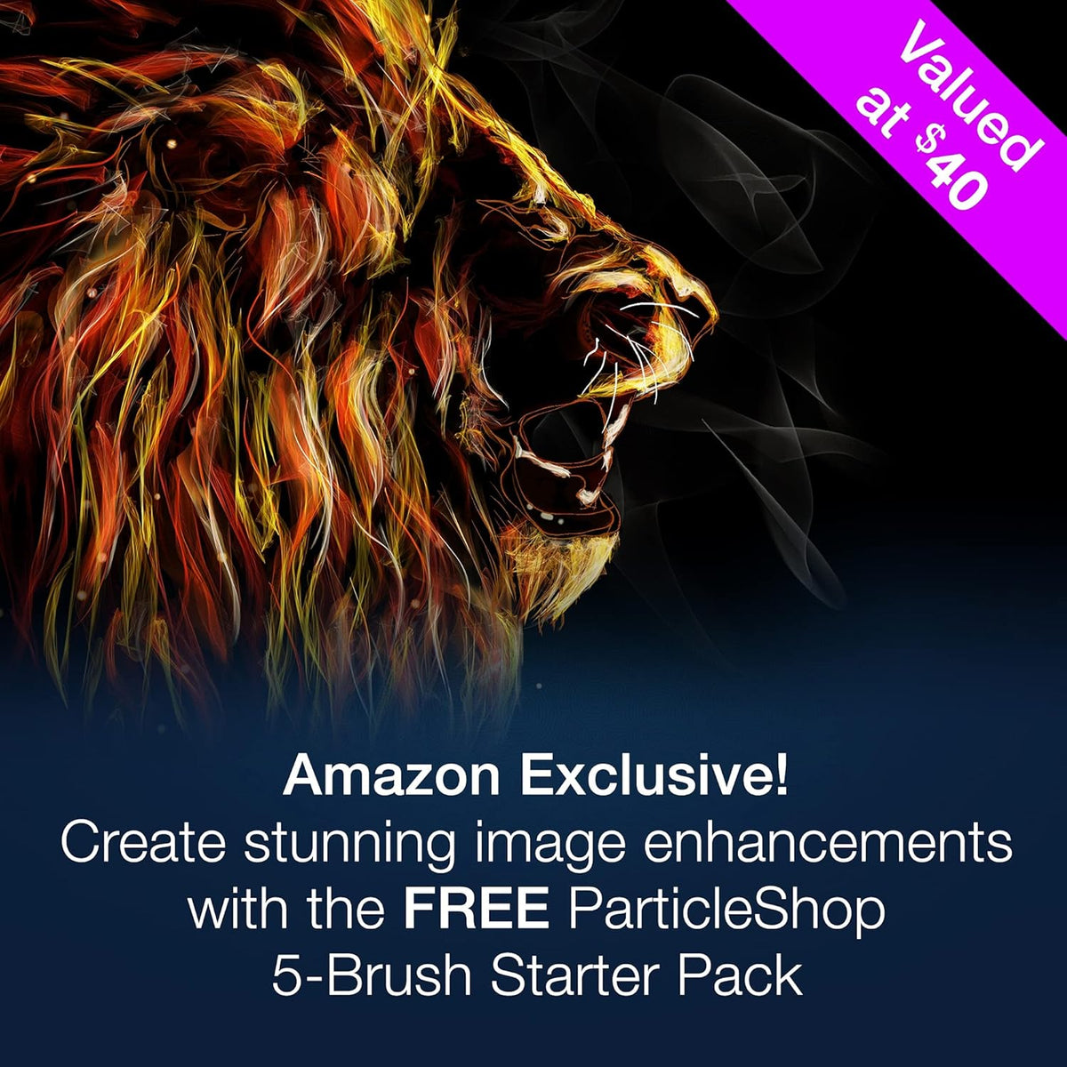 Photo Editing & Graphic Design Software with Creative Bundle T385644
