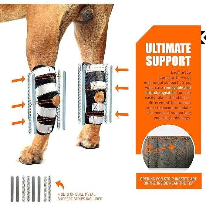 3-in-1 Dog Rear Leg Support Splint Braces I35843