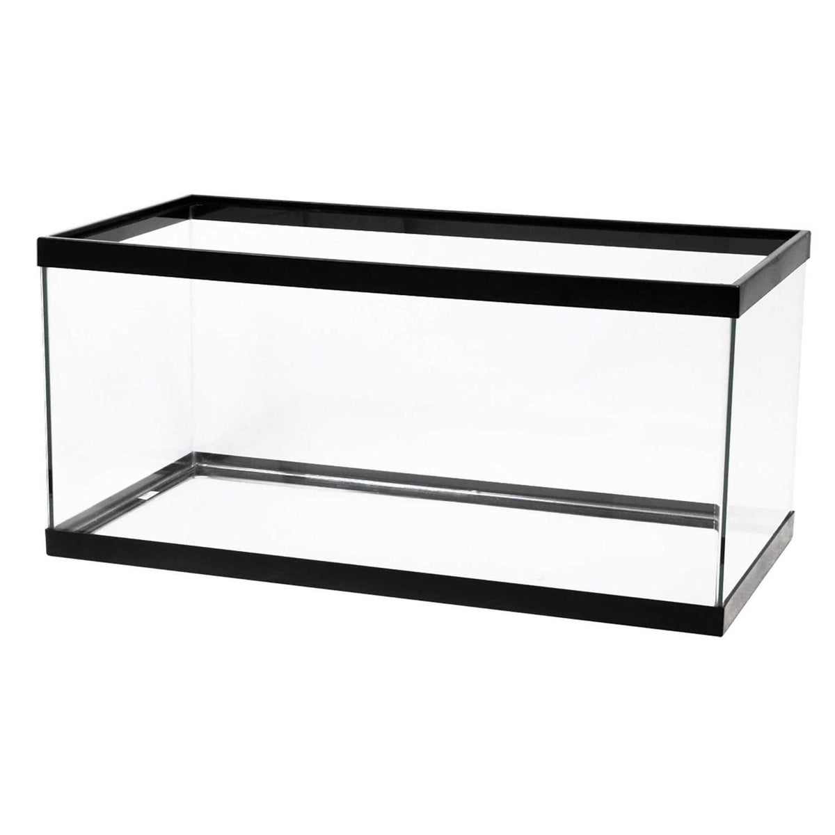 Black Aquarium I936