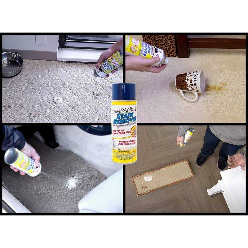 Stain Remover Pet Stain and Odor Eliminator F5067