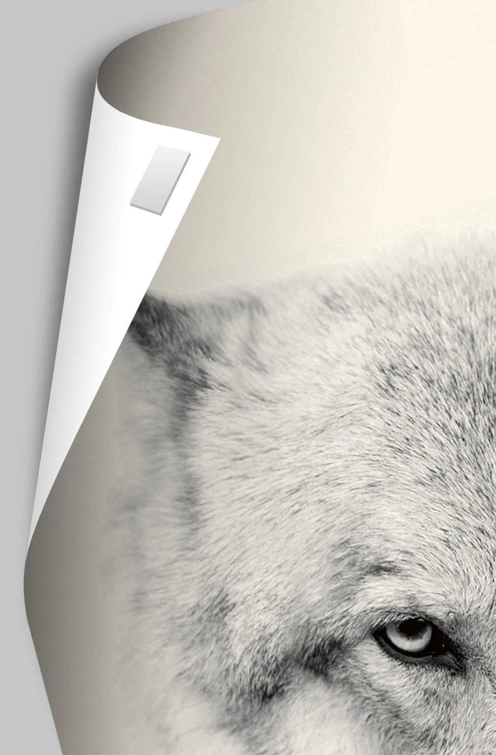 Wall Poster 22.375 x 34 K770441