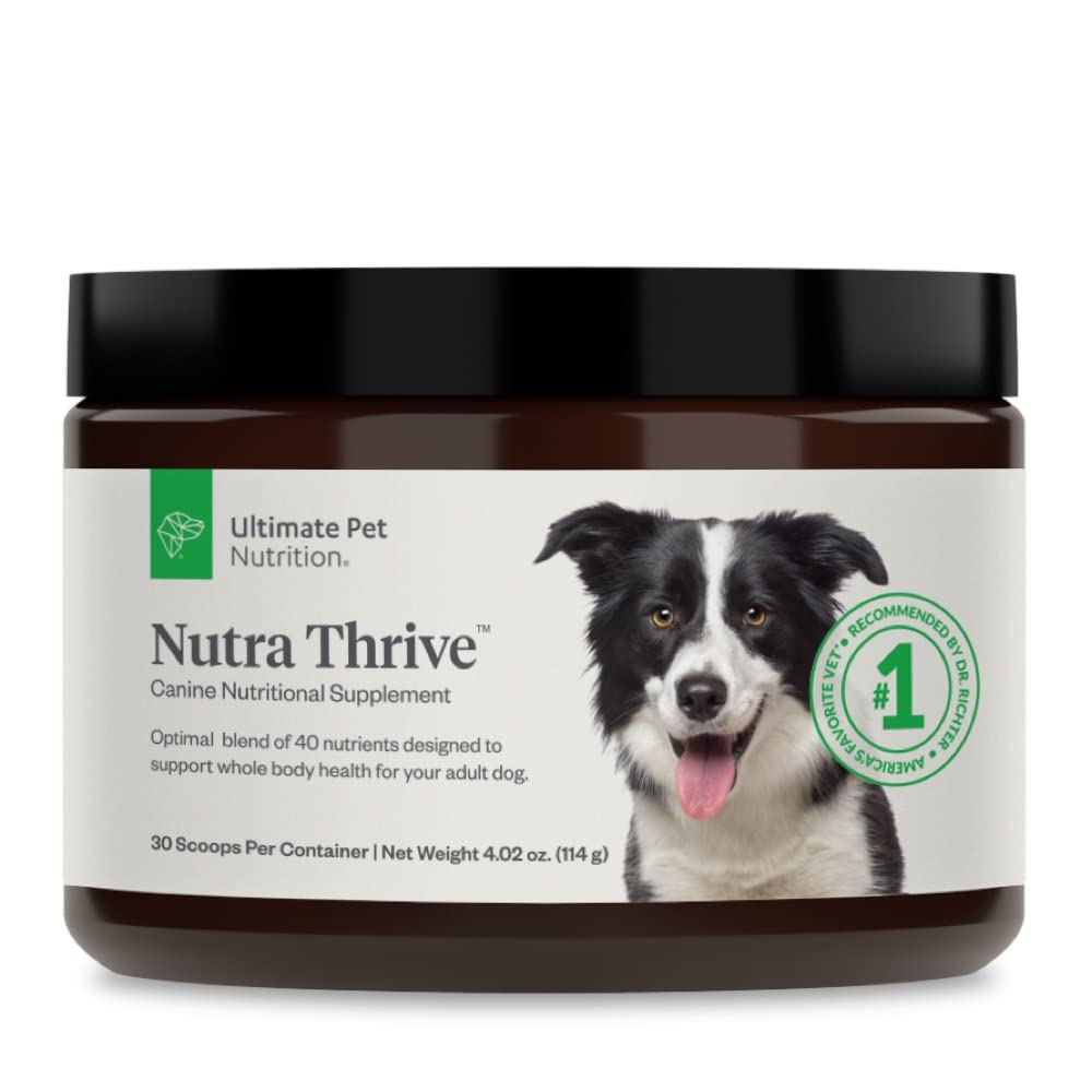 40-in-1 Nutritional Powder Supplement for Dogs E3762