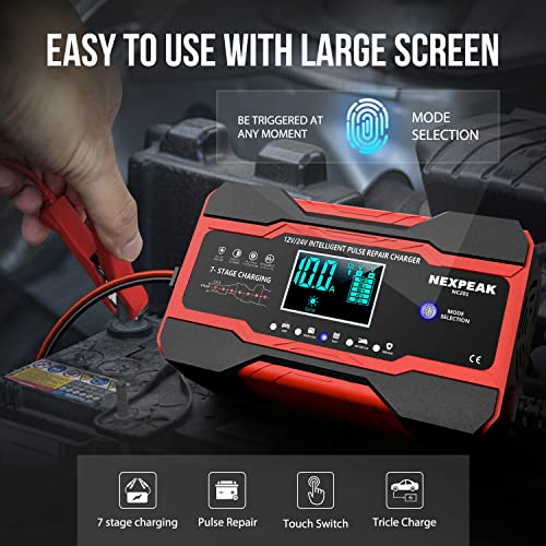 10-Amp Smart Battery Charger 12V 24V R427