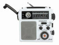 AM/FM Radio Z916