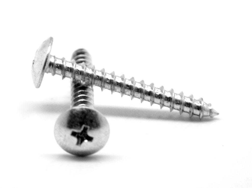 Sheet Metal Screw Phillips Truss Head Type A Low Carbon Steel Zinc Plated P173