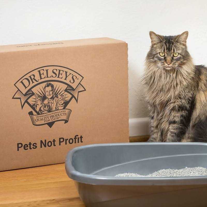 Scented Cat Litter Z27808