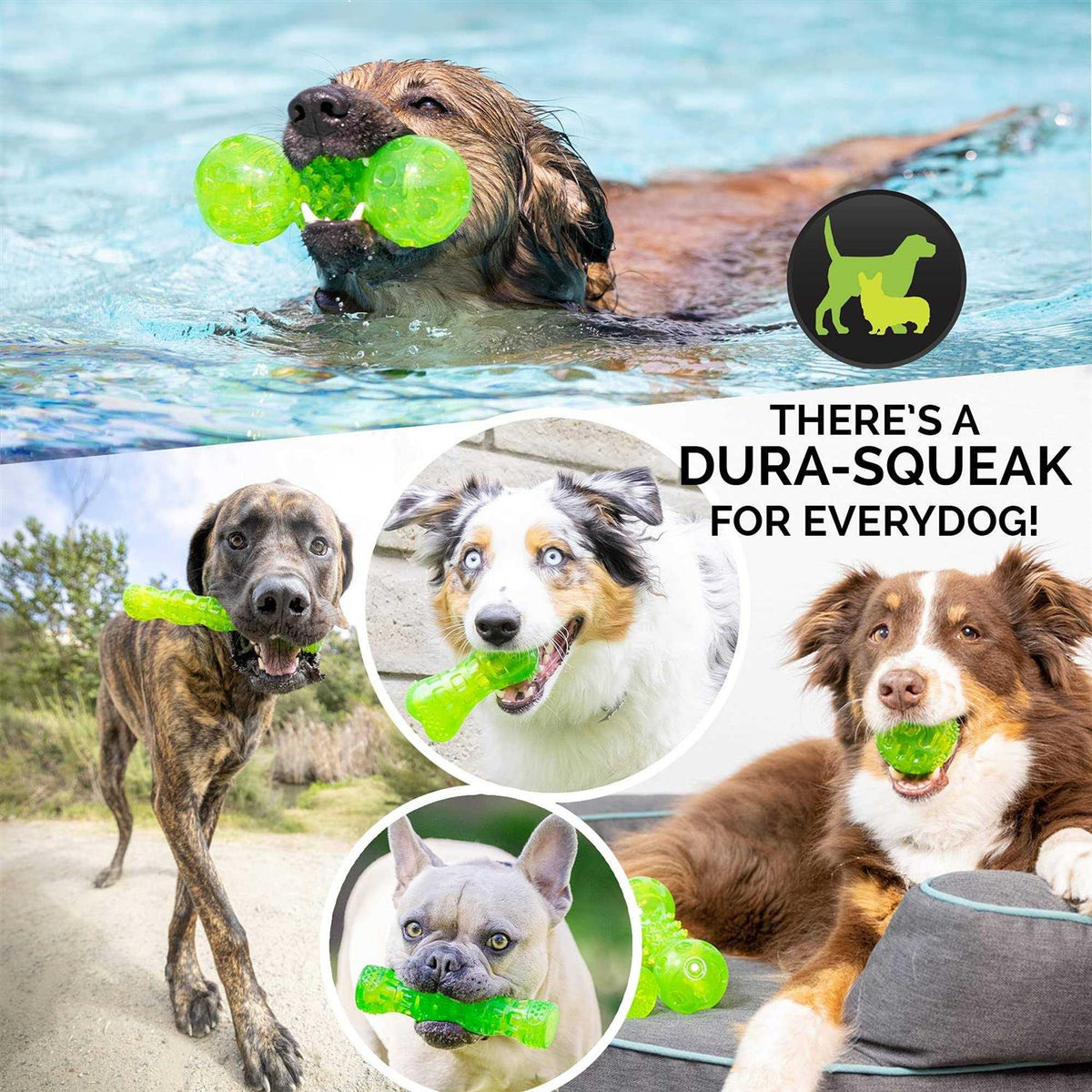 Dog Toy Stick C13035