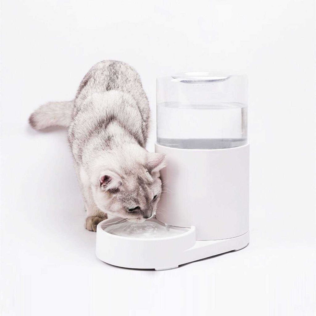 Automatic Pet Water Dispenser 3 Liter J439794