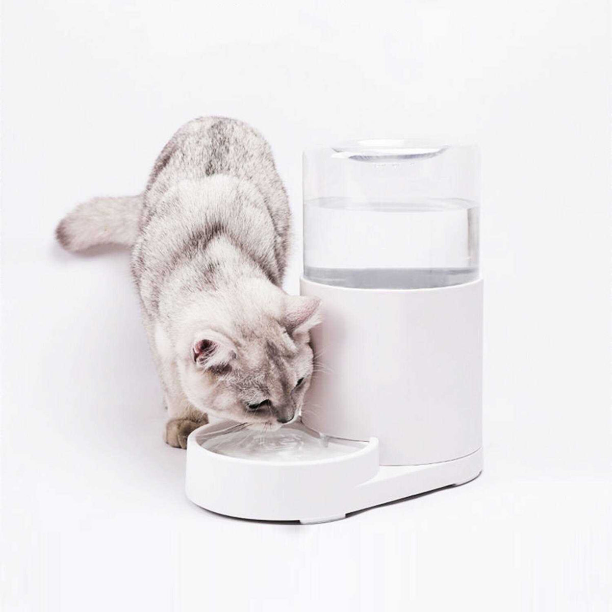Automatic Pet Water Dispenser 3 Liter J439794