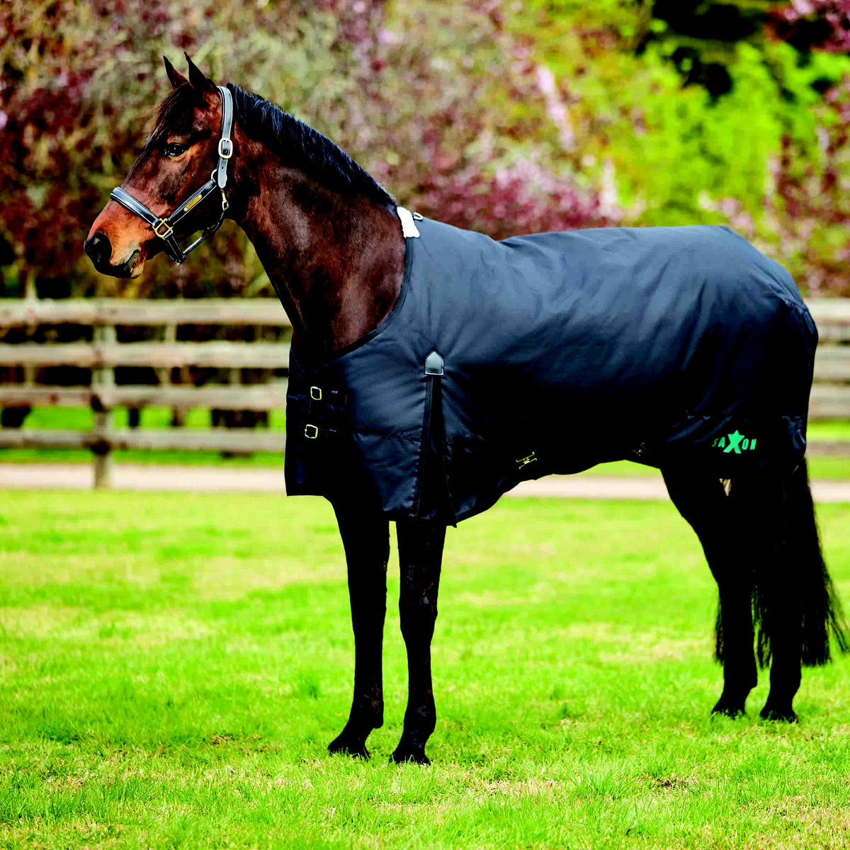 Heavy 69 Hunter/Black Neck D2095