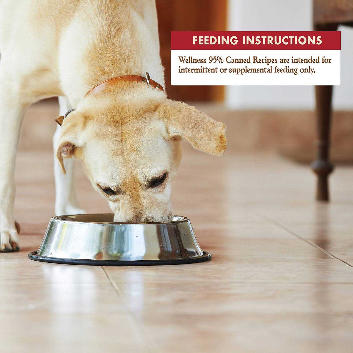 Beef Dog Food W1038