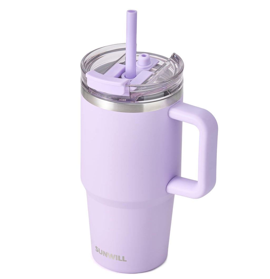 20 oz Insulated Stainless Steel Tumbler with Handle and Straw P150