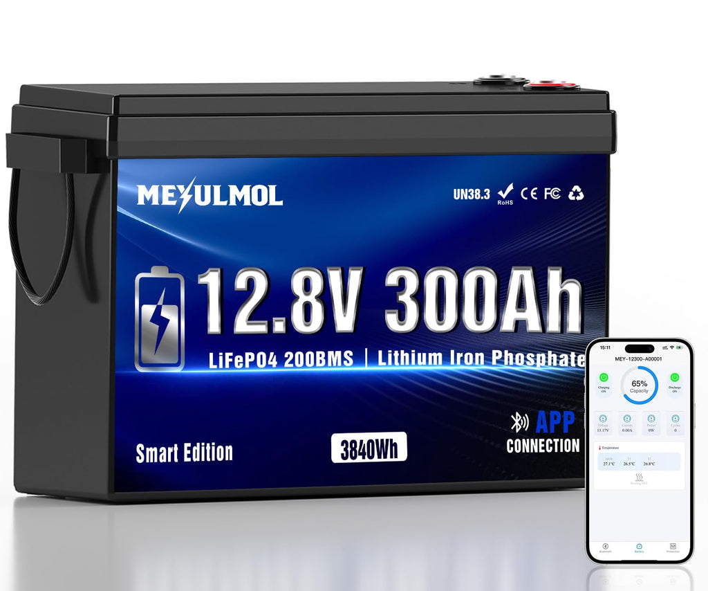 12V 300Ah LiFePO4 Lithium Battery with 200A BMS S5969