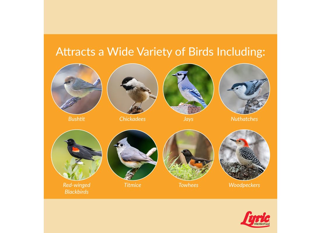 Wild Bird Seed 20 lb Bag J61700