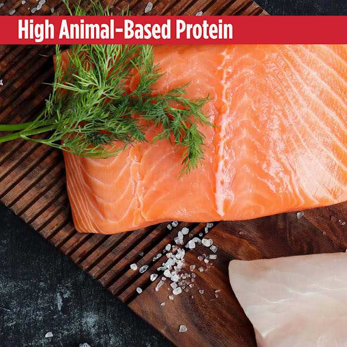 Grain Free Salmon & Sweet Potato Dry Dog Food U632604