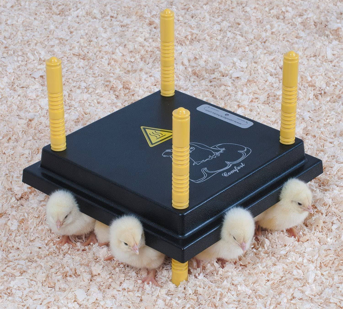 Chick Brooder D372515