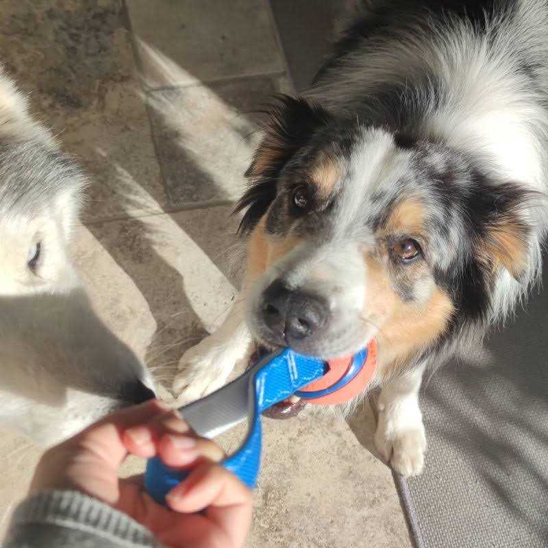 Dog Toy G67240