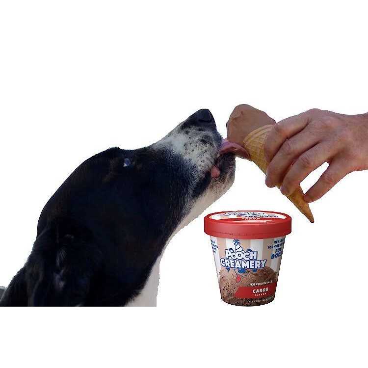 Ice Cream Mix Dog Treats A478128