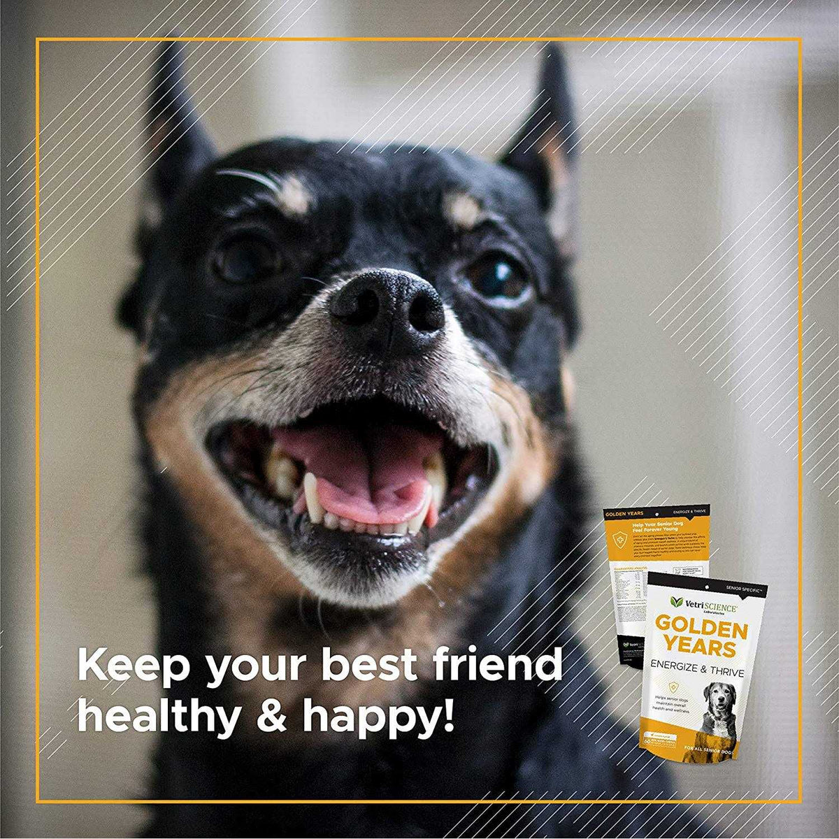Senior Dogs Multivitamin J9009