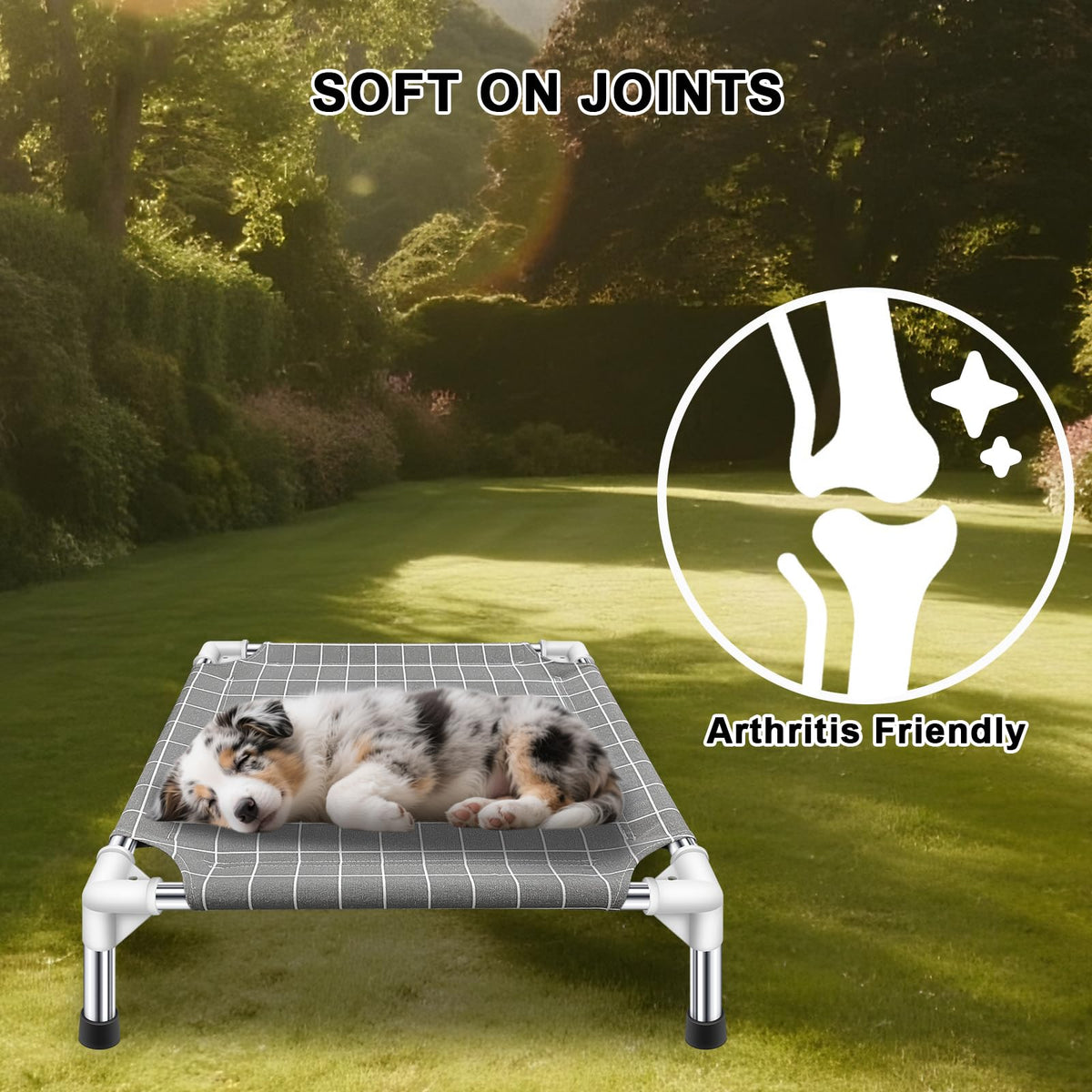 Raised Pet Bed V979597