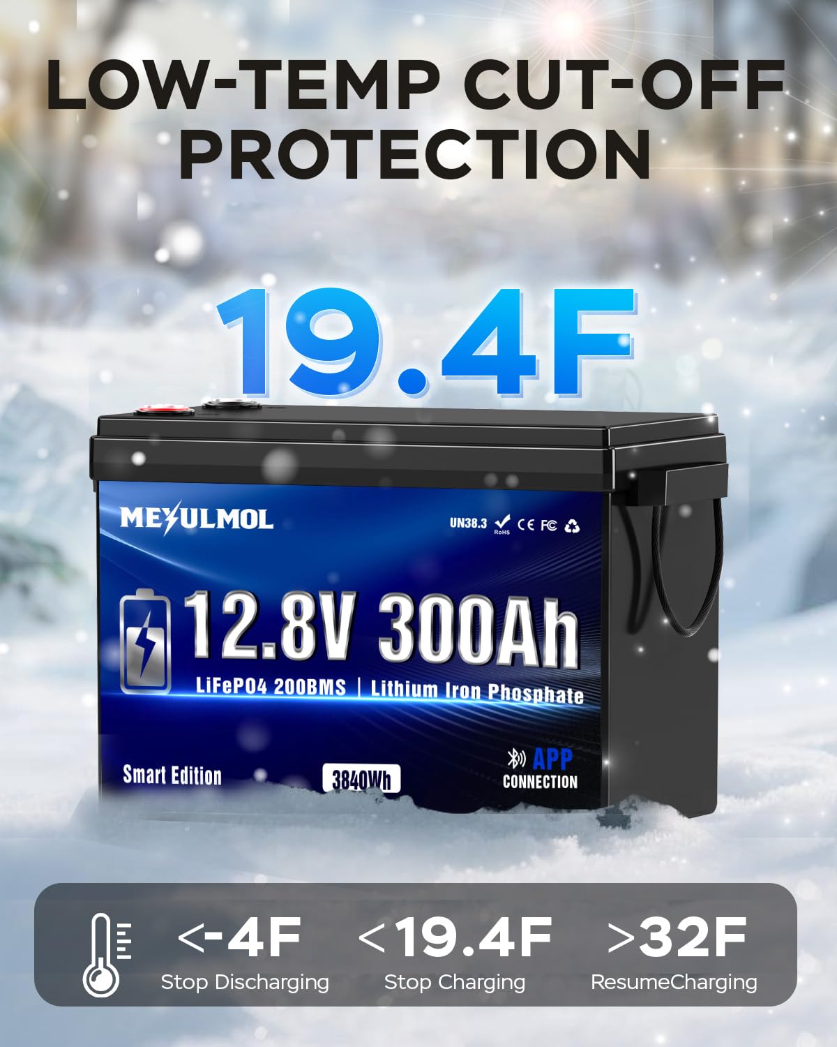 12V 300Ah LiFePO4 Lithium Battery with 200A BMS S5969