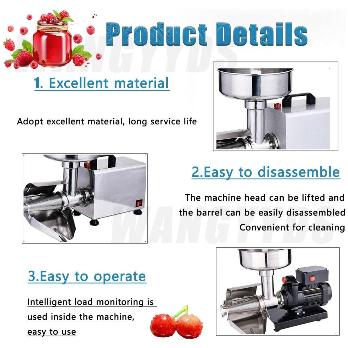 450W Stainless Steel Electric Tomato Mill A589698