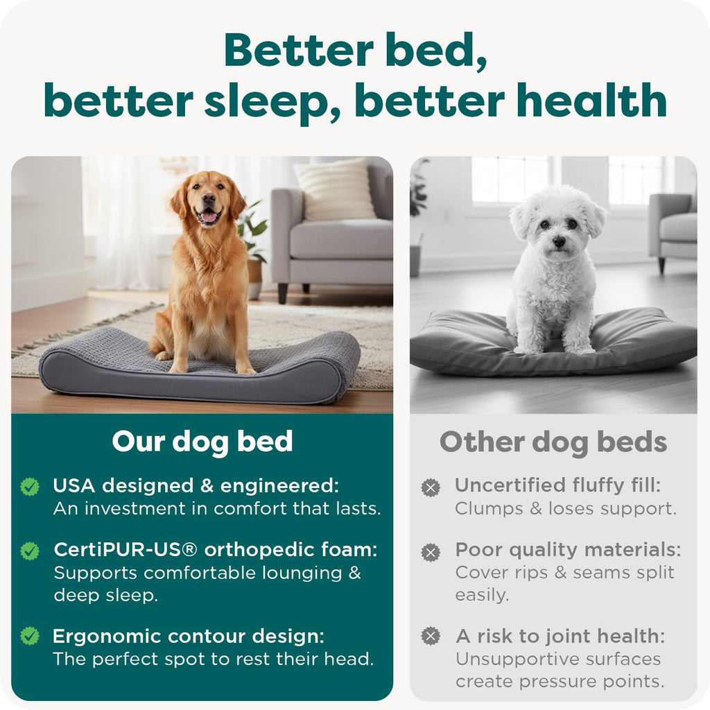 XL Plush Suede Orthopedic Dog Bed D3497