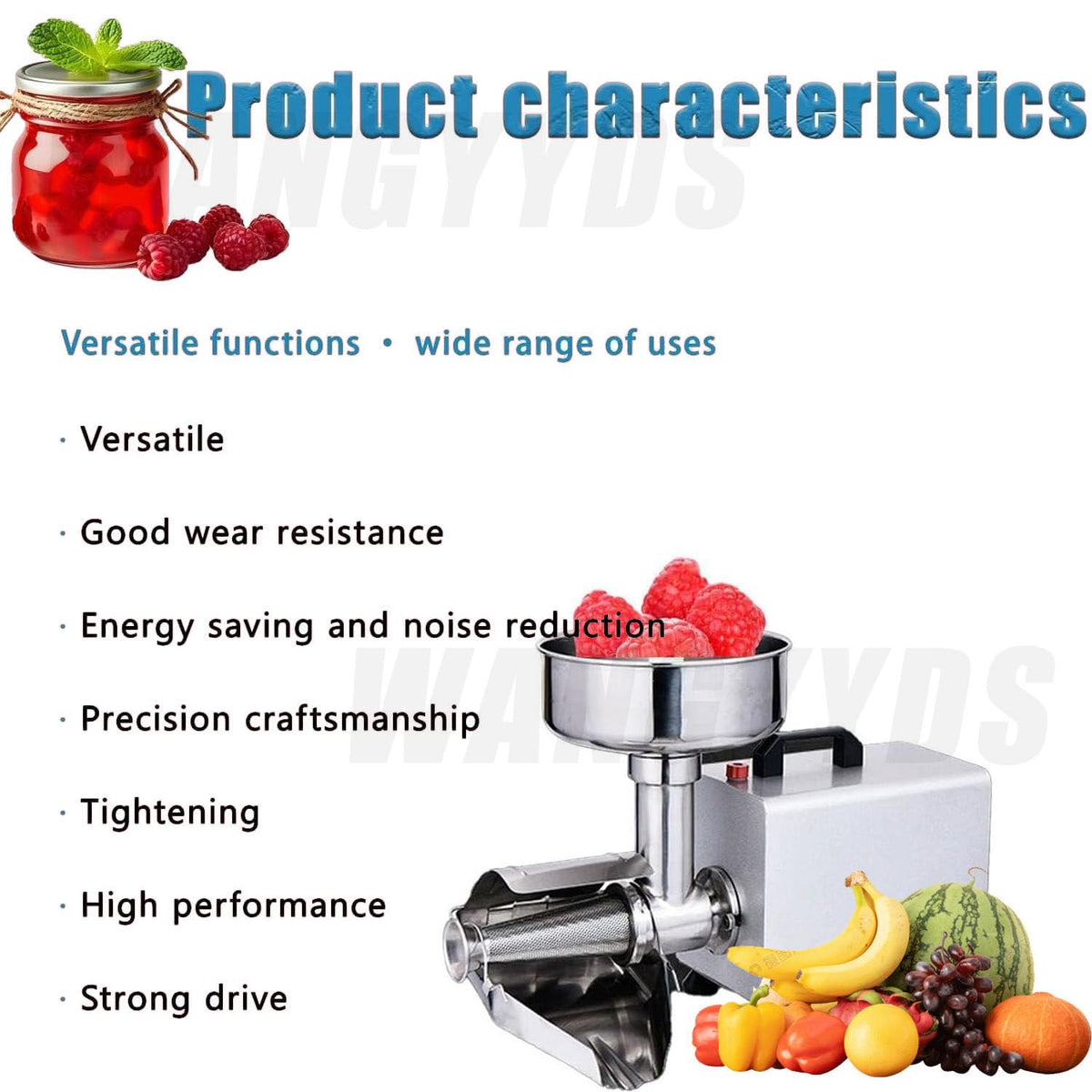 450W Stainless Steel Electric Tomato Mill A589698