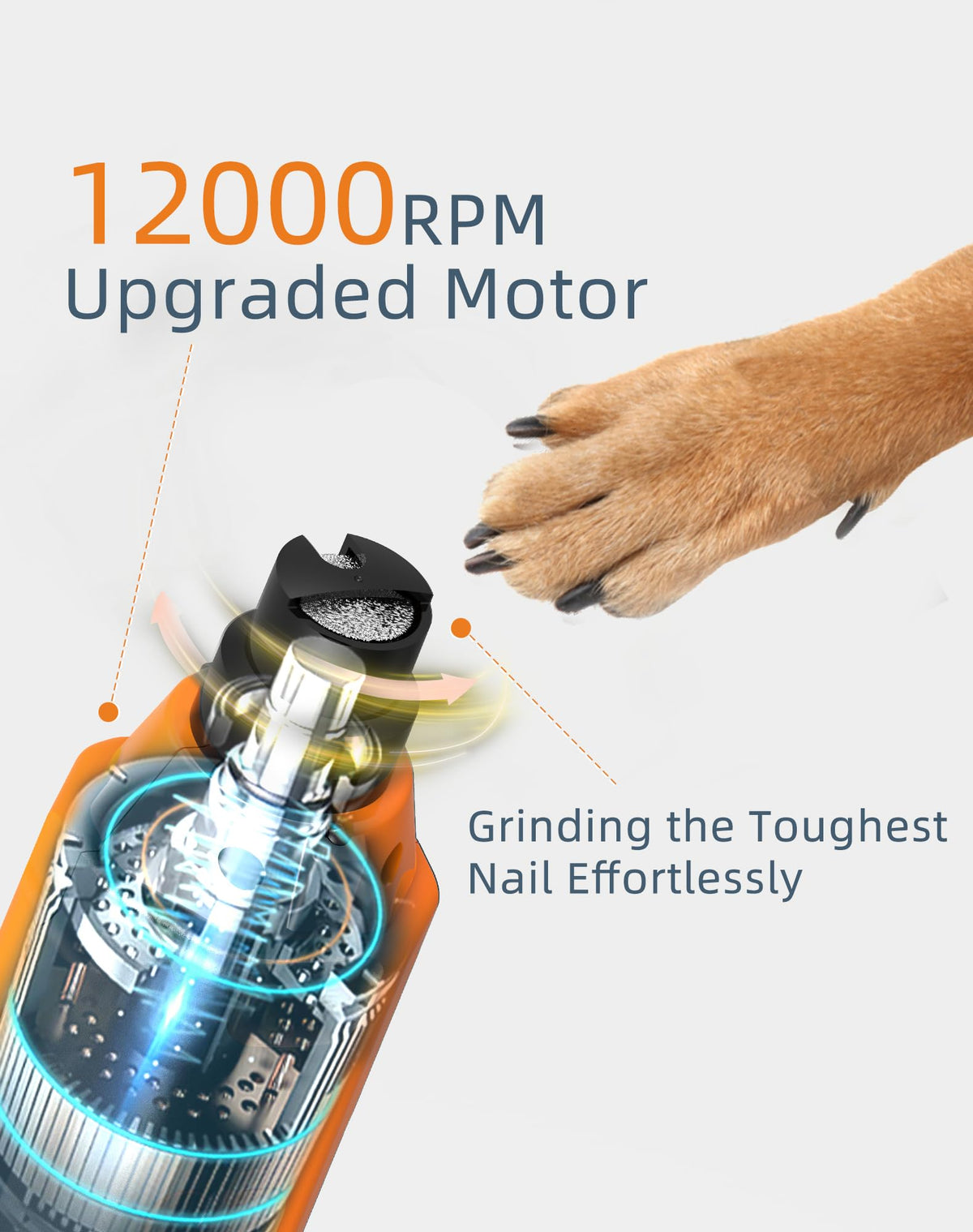 6-Speed Dog Nail Grinder with 2 LED Lights I7767