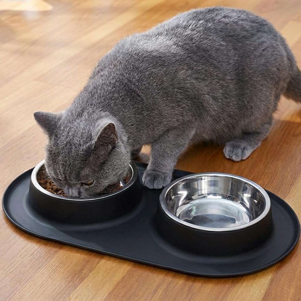 Stainless Steel Cat Food Bowls with Non-Slip Mat, 1.5 Cups Each K548740