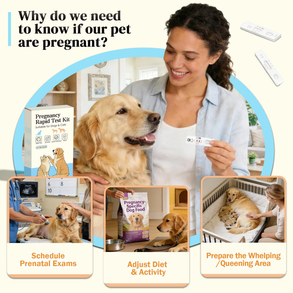 Dog & Cat Pregnancy Test Kit I967641