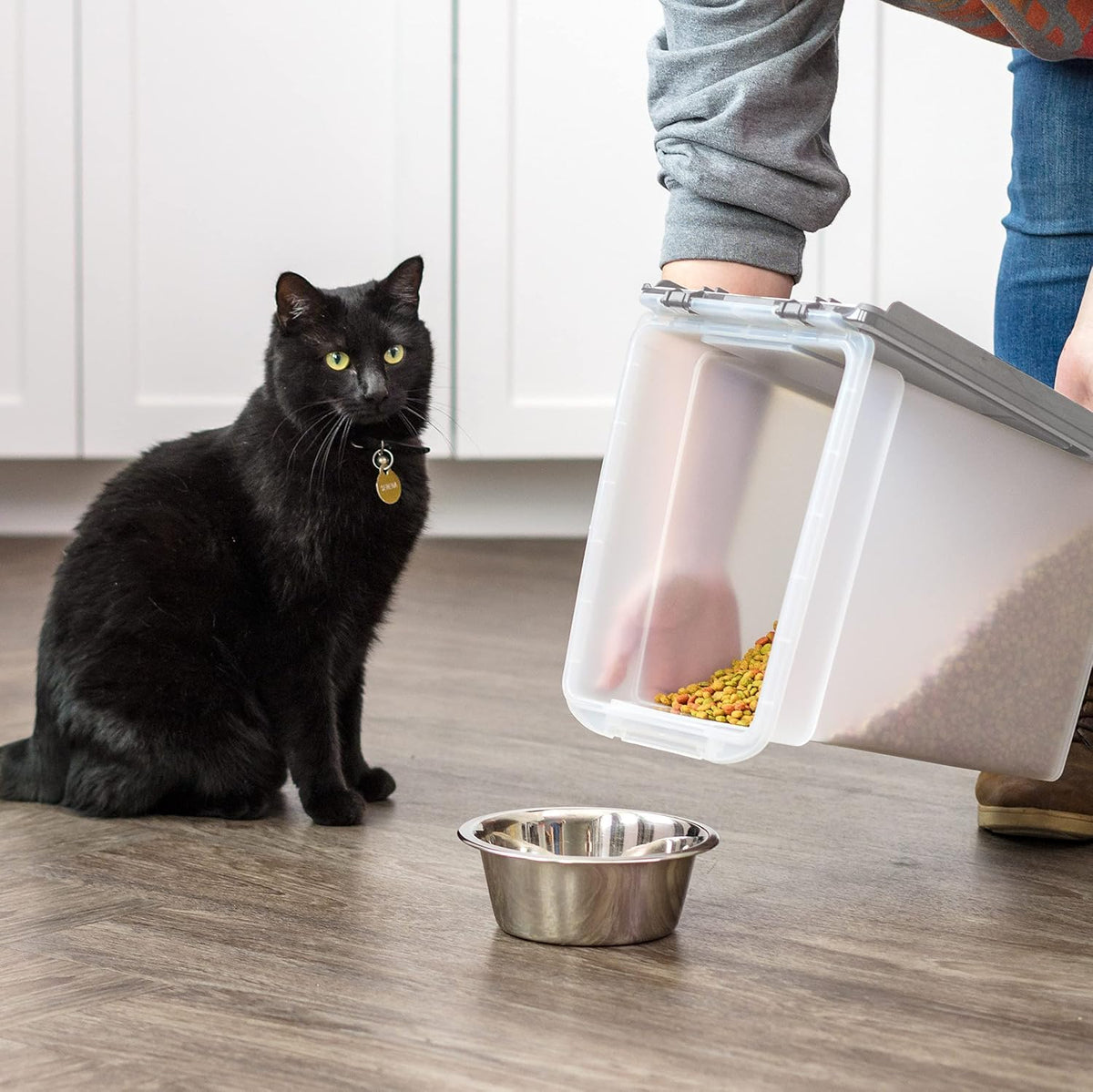 Dog Food Storage Container Up to 10 lbs X861117