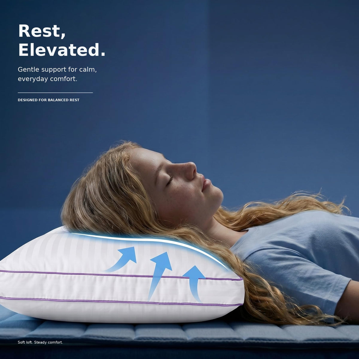 King Size Down Alternative Pillows Set of 2 L314