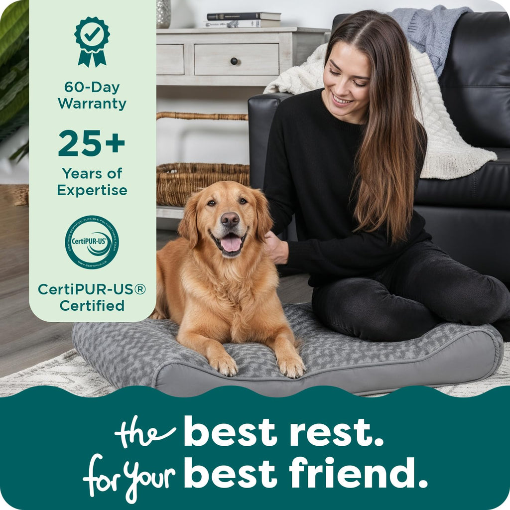 XL Plush Suede Orthopedic Dog Bed D3497