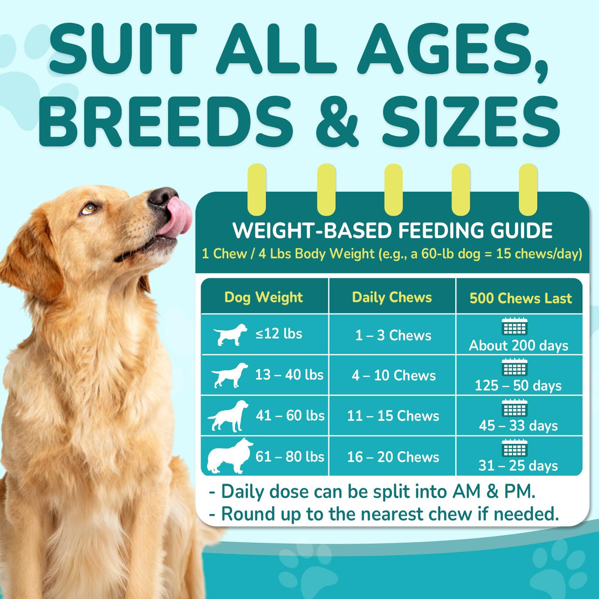 Flea and Tick Prevention for Dogs F1444